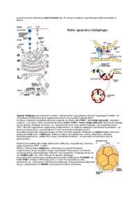 Losy białek w cytoplazmie-opracowanie