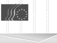 Europejski Komitet Ekonomiczno-Społeczny-prezentacja