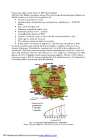 specjalne-strefy-ekonomiczne-w-polsce-sse-wyklad