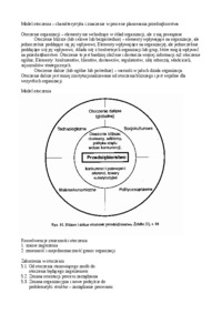 koncepcje zarządzania, Model otoczenia
