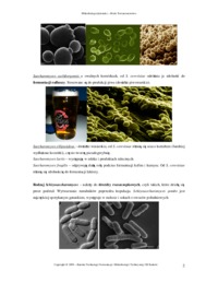 mikrobiologia-cwiczenie-6