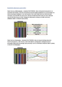 Podstawy budowy sieci komputerowej - ćw. 1