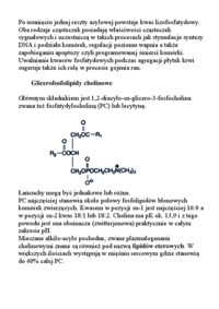 lipidy-fosfolipidy