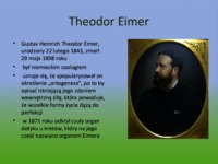 teoria-ortogenezy-eimera