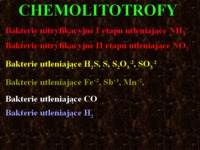 chemolitotrofy