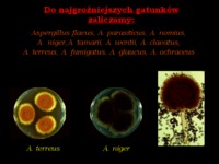 Mikrobiologia - wykład 5