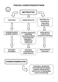 antybiotyki-chemioterapia