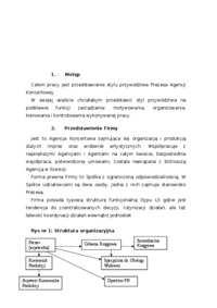 analiza-stylu-przywodztwa-struktura-organizacyjna