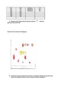 prawozdanie-z-analizy-jakosciowej-aminokwasow-technika-tlc