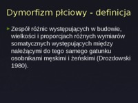 dymorfizm-plciowy-prezentacja