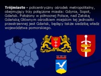 Zbiorowy transport publiczny Trójmiasta i Krakowa