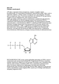 wyklad-rola-atp-i-enzymow-restrykcyjnych-sem-iii