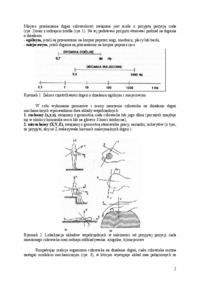 ergonomia