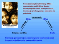 DNA, RNA i przepływ informacji genetycznej-wykład
