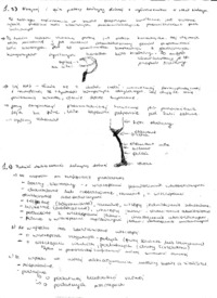 Notatki z wykładu z biomechaniki
