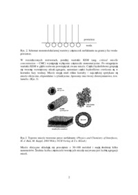 Krytyczne stężenie micelizacji surfaktantu- instrukcje laboratoryjne