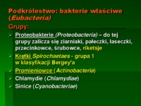 mikrobiologia-wyklad-3-bakterie